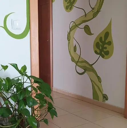 House Auberge de jeunesse