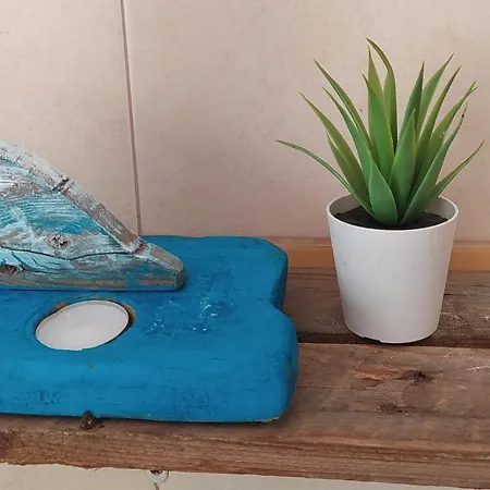 Auberge de jeunesse House *